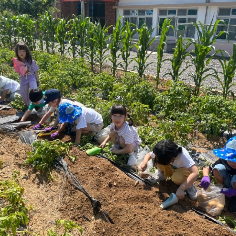 교육