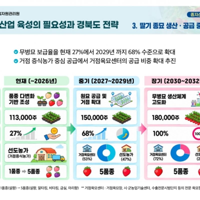 경북도농업자원관리원, 딸기 우량 무병 종묘 공급 확대